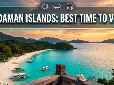 A pristine, white-sand beach with crystal clear turquoise water in the Andaman Islands, framed by lush green tropical trees.