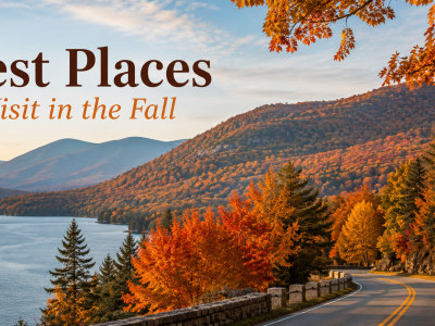A panoramic scenic highway winding through a dense forest in New England completely ablaze with vibrant red, bright orange, and golden fall foliage under a clear autumn sky.