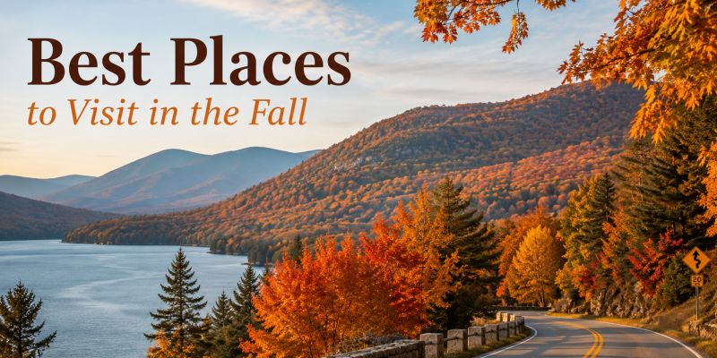 A panoramic scenic highway winding through a dense forest in New England completely ablaze with vibrant red, bright orange, and golden fall foliage under a clear autumn sky.