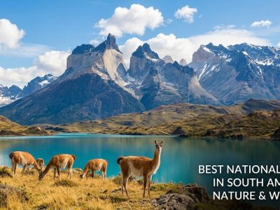 A panoramic view of a pristine South American national park featuring sharp mountain peaks reflecting in a crystal-clear turquoise alpine lake.